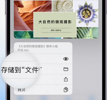 山西apple维修中心分享iPhone文件应用中存储和找到下载文件