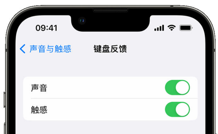 山西苹果手机维修分享iPhone 14触感键盘使用方法 