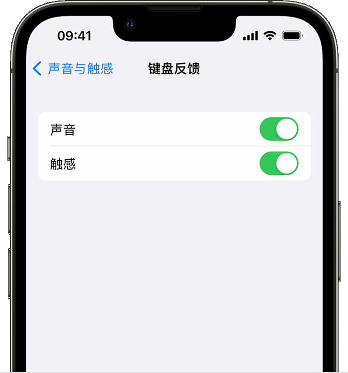 山西苹果14维修店分享如何在 iPhone 14 机型中使用触感键盘 