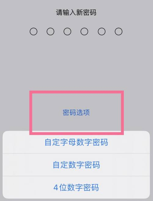 山西苹果14维修分享iPhone 14plus设置密码的方法 