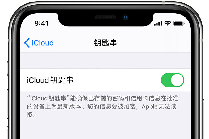 山西苹果手机维修分享在 iPhone 上开启 iCloud 钥匙串之后会储存哪些信息 